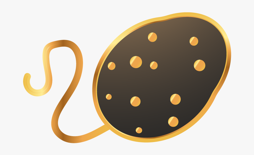 Circle, HD Png Download