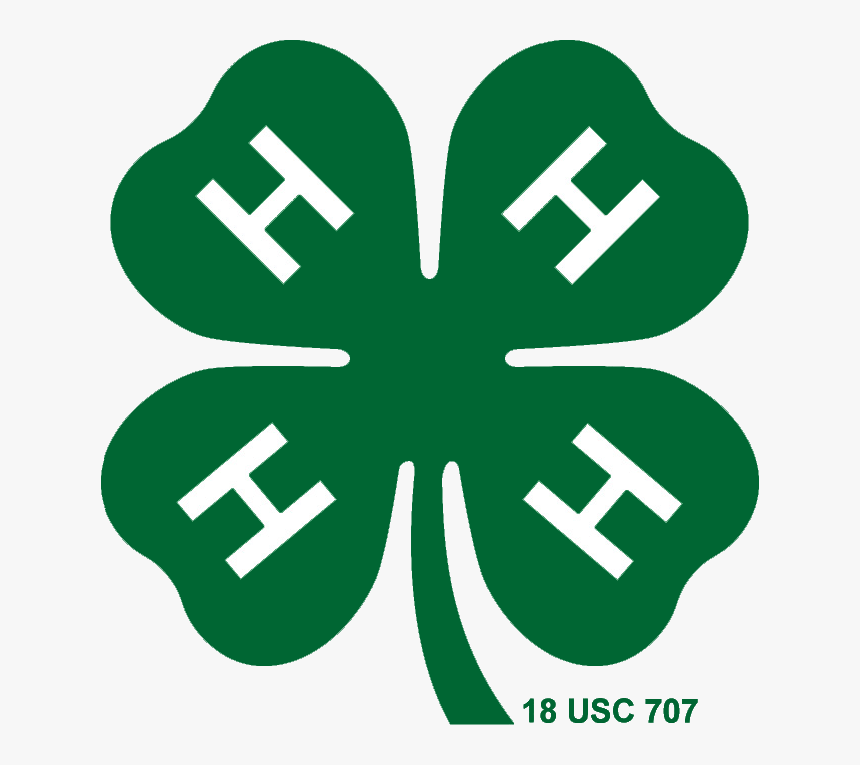 4 H Cloverleaf, HD Png Download