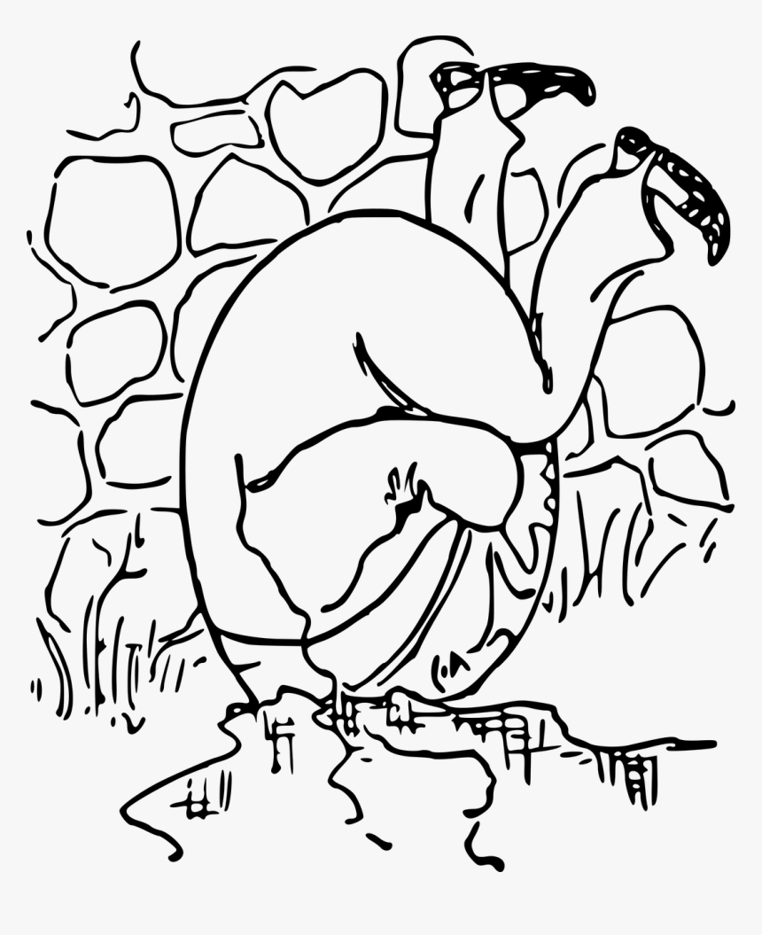 Humpty Dumpty Images Black And White, HD Png Download