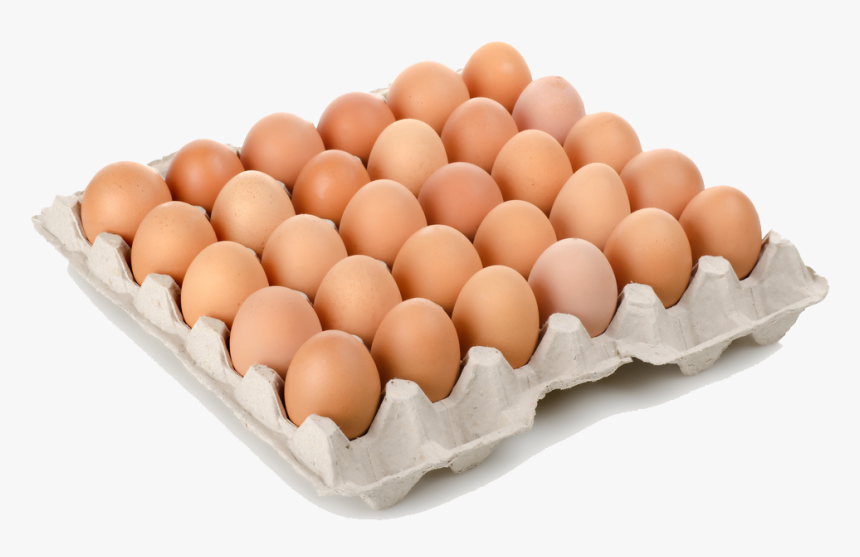 Arquitecto, Te Lo Ponemos A Huevo - Eggs In A Tray, HD Png Download