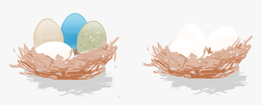 Los Huevos, Nido, Huevo, Huevo De Nido, Ahorro - Ninho Com Ovos Png, Transparent Png