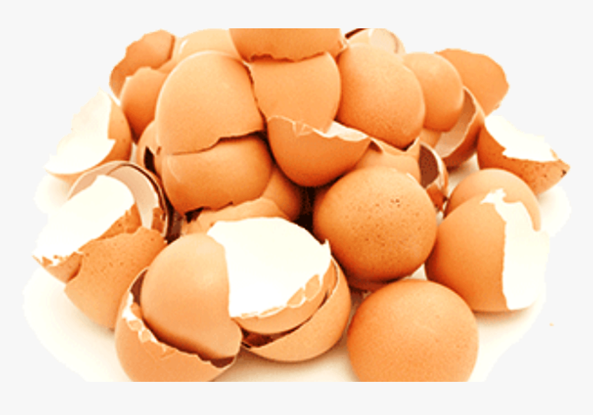 Cascaras De Huevo Png, Transparent Png
