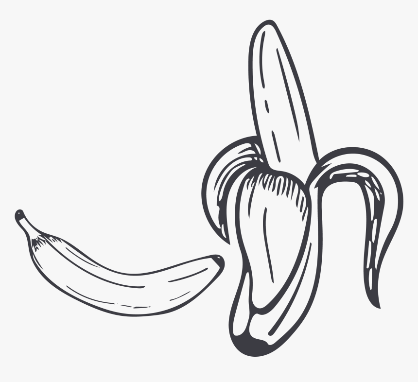 Collection Of Free Contour Drawing Banana Download - Black And White Banana Png, Transparent Png
