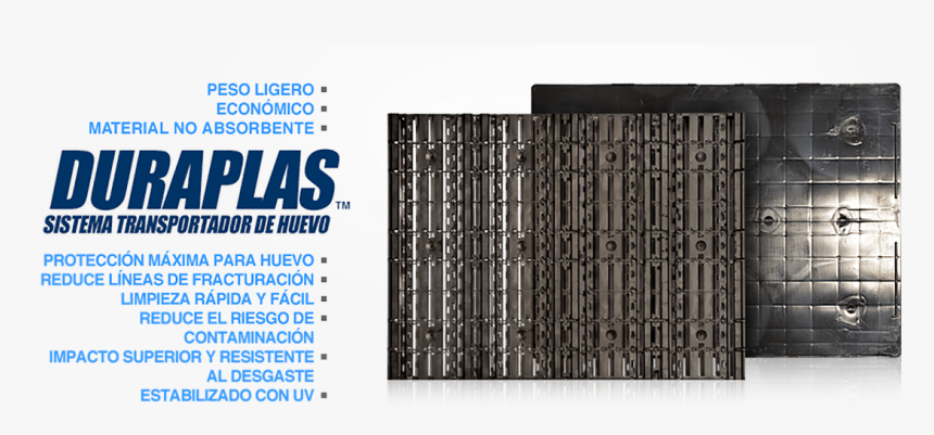 Electric Blue, HD Png Download