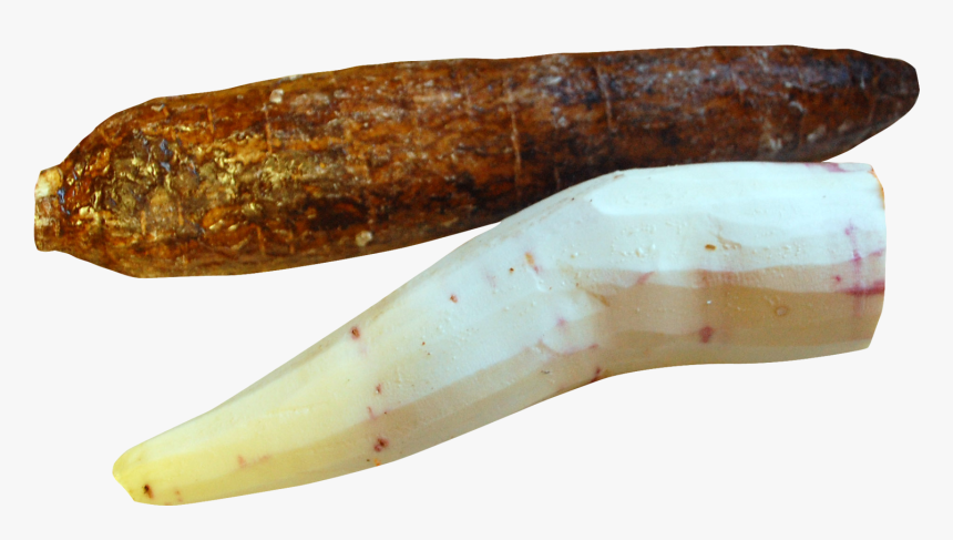 Cassava Peeled Png Image - Cassava Peeling Clipart, Transparent Png