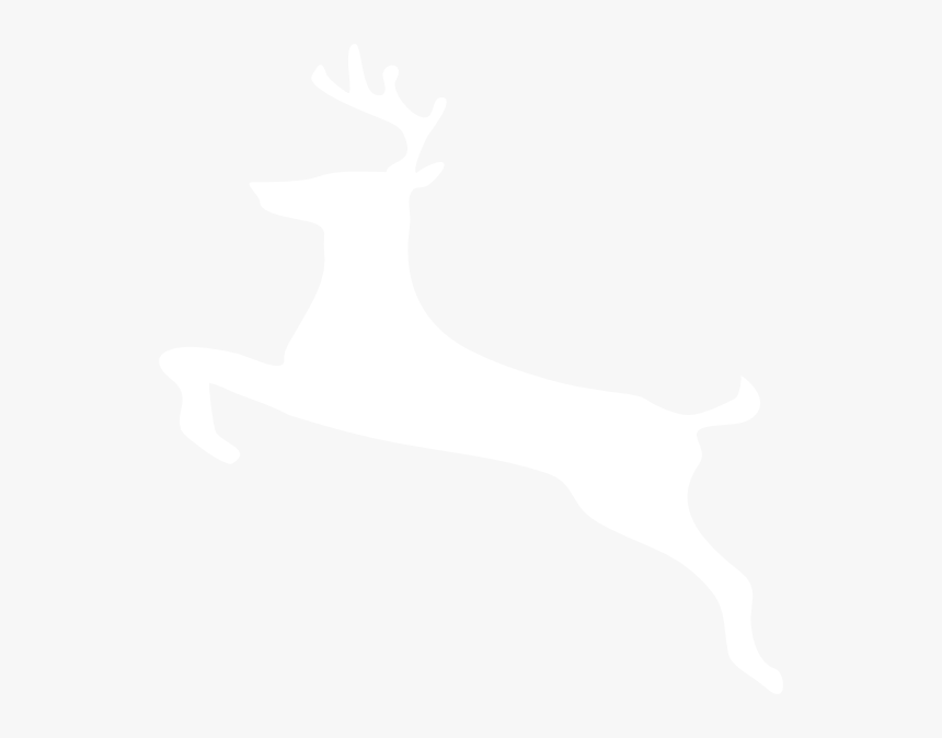 Download Hd White Deer Png - Deer White Png, Transparent Png