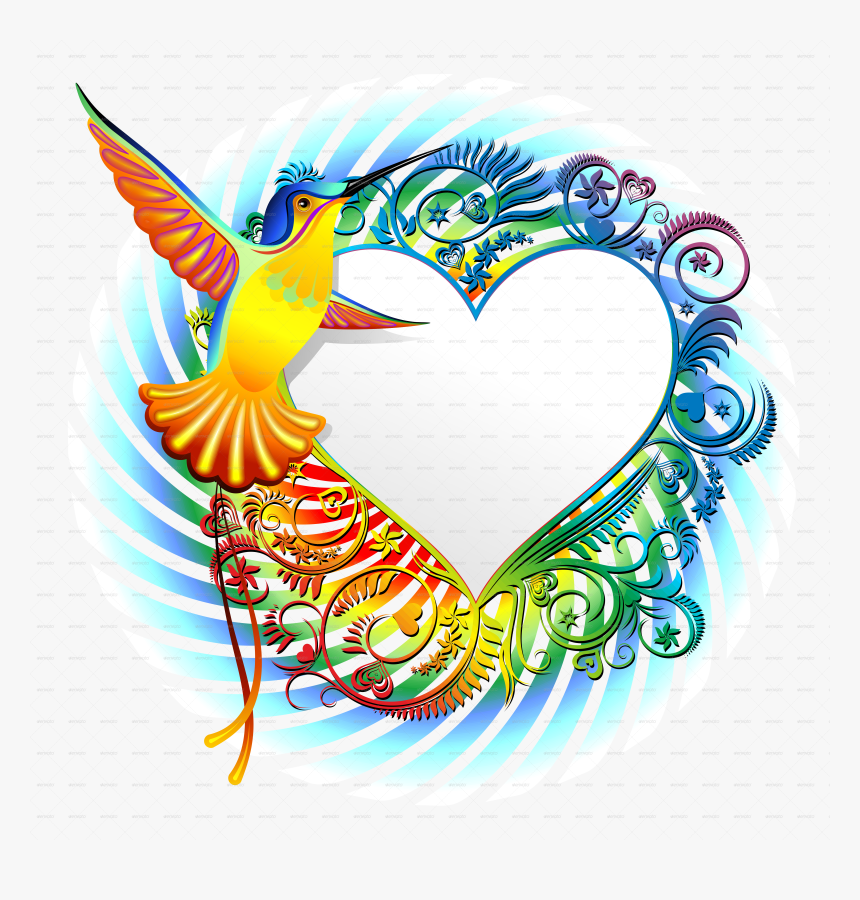 Designer Vector Colorful Design - Colibri Vector, HD Png Download