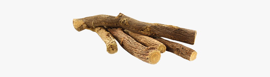Morphology Of Liquorice Root, HD Png Download