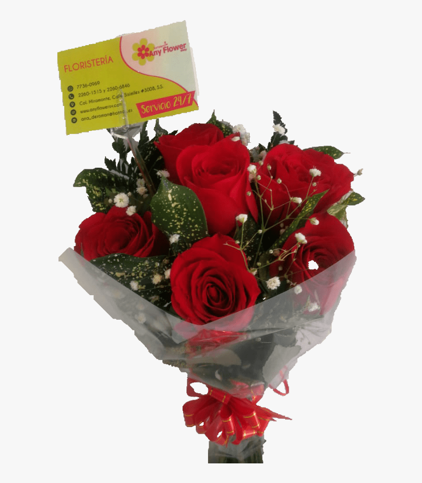 Garden Roses, HD Png Download