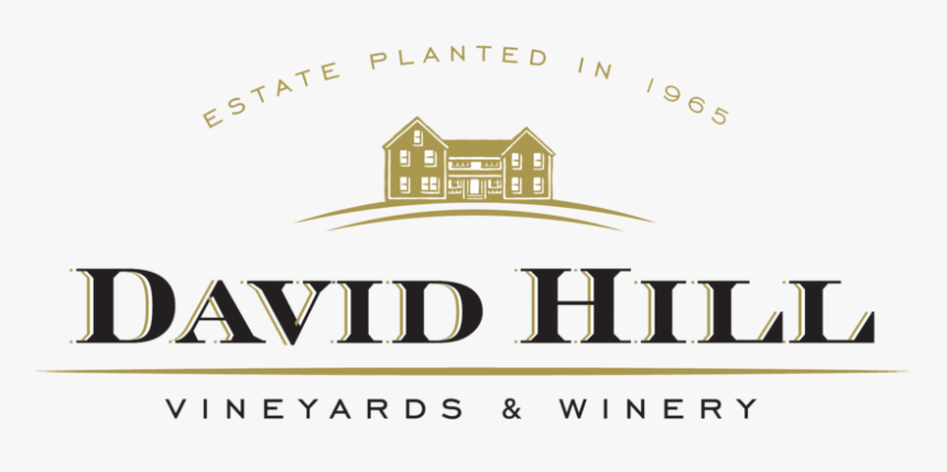 Color New Logo Floating - Graphic Design, HD Png Download