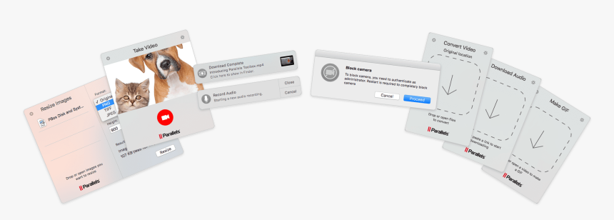 Label, HD Png Download