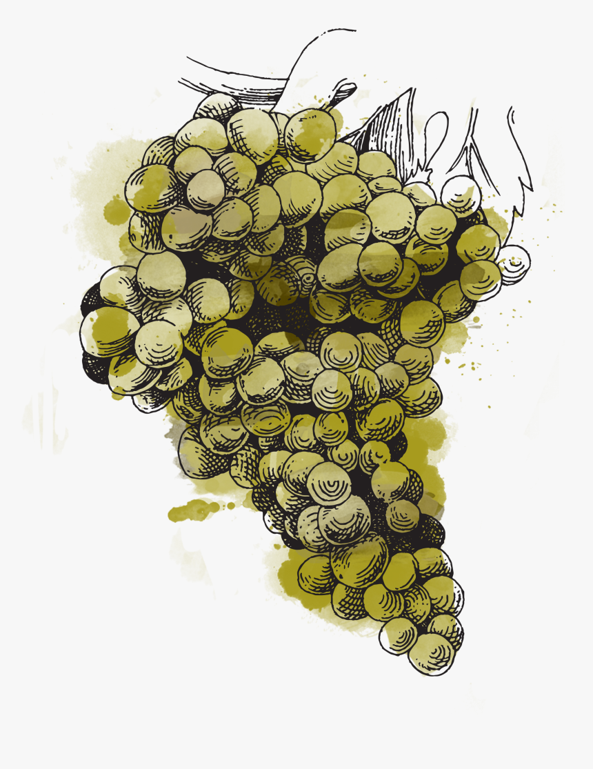 Illustration, HD Png Download