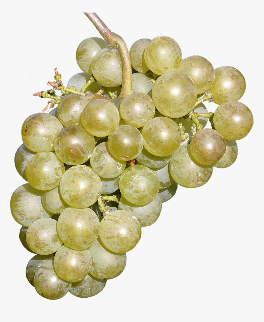 Wine Grapes Free Fruit Delicious Free Photo - Grape, HD Png Download