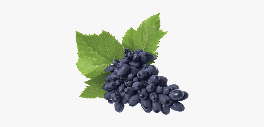 Seedless Fruit, HD Png Download