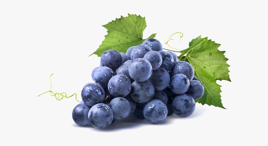 Grapes - Grape Png, Transparent Png