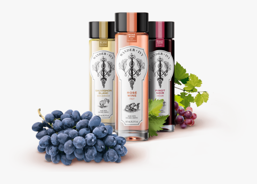 Header-02 - Blueberry, HD Png Download