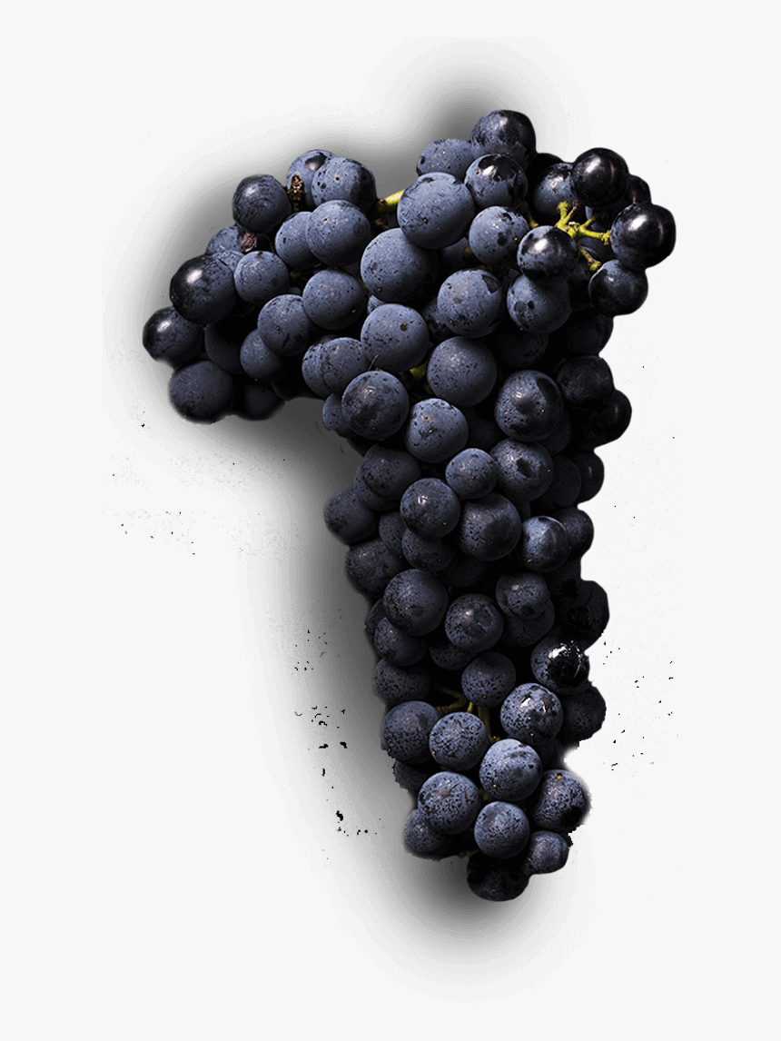 Central Otago Winery - Seedless Fruit, HD Png Download