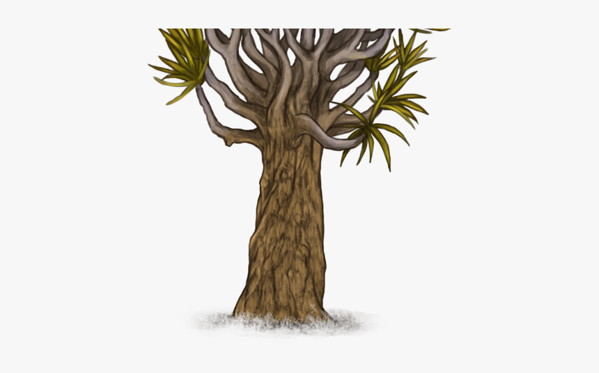 Pond Pine, HD Png Download