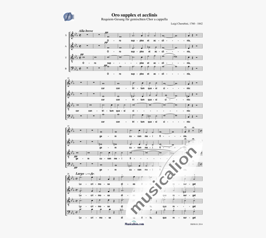 Oro Supplex Et Acclinis - Go West Parte De Violin 1, HD Png Download