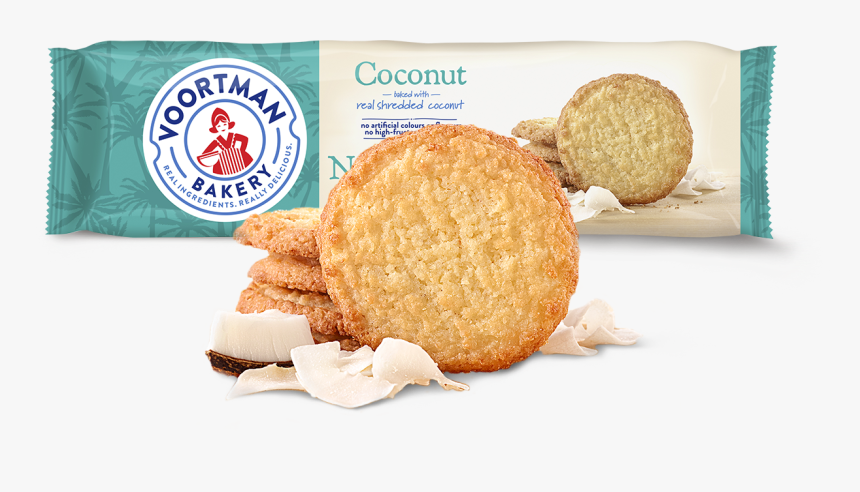 Coconut, HD Png Download