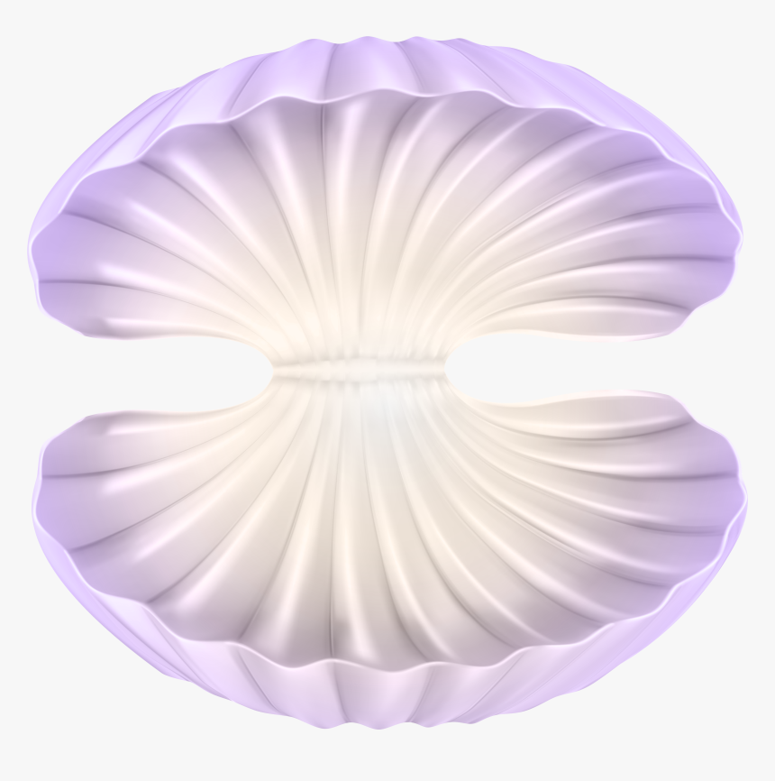 Png Open Clam Shell Clipart , Png Download - Scallop, Transparent Png