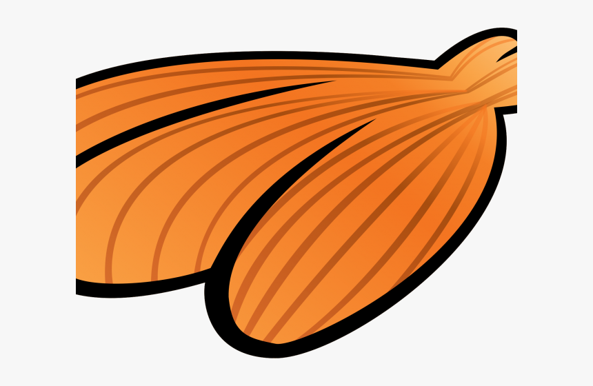 Big Shell Cliparts - Clip Art, HD Png Download