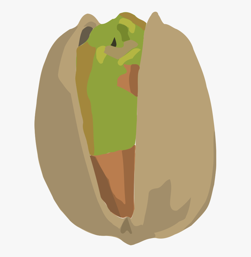 Antep Fıstığı Vektör Png, Transparent Png