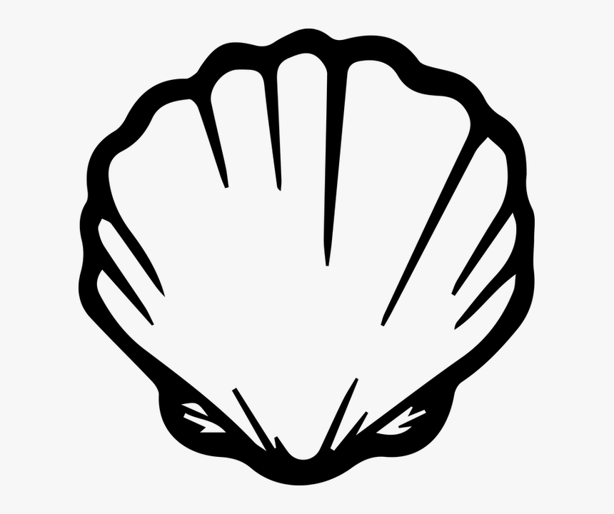 Sea Shell Transparent Clipart - Sea Shell Clipart Png, Png Download