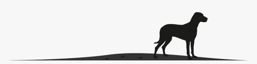 Dog Catches Something, HD Png Download