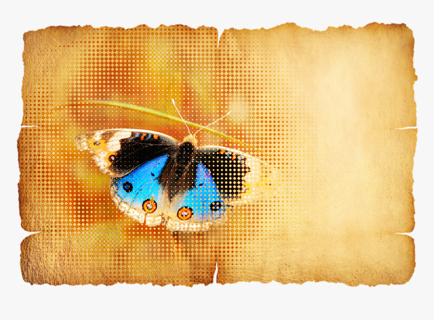 Pergaminho, Artigos De Papelaria, Borboleta, Papel, HD Png Download