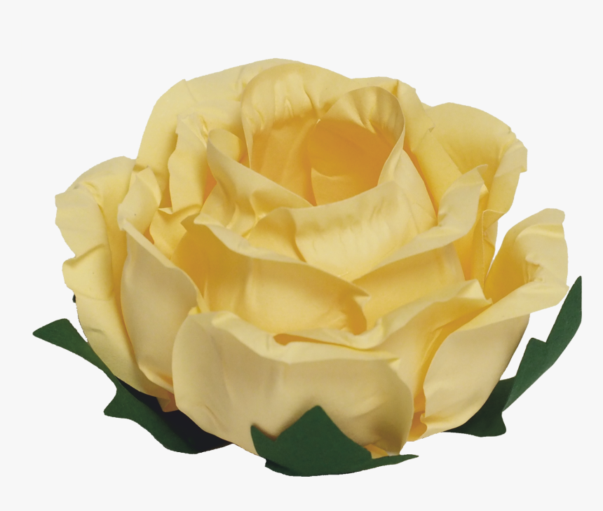 Garden Roses, HD Png Download