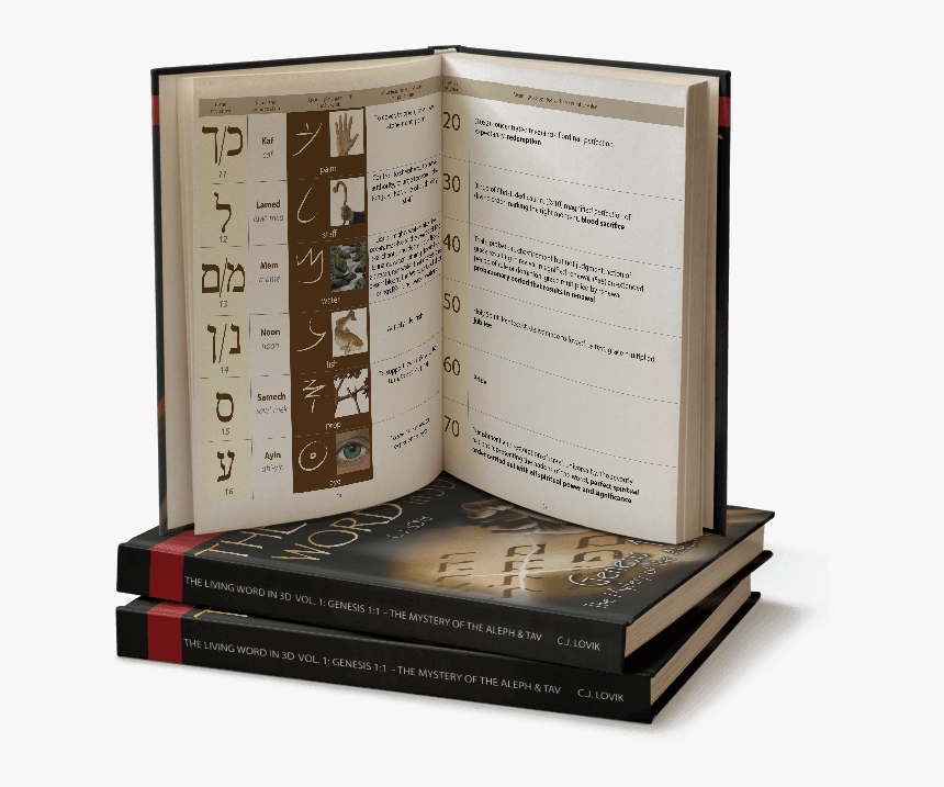 Living Word In 3d, HD Png Download