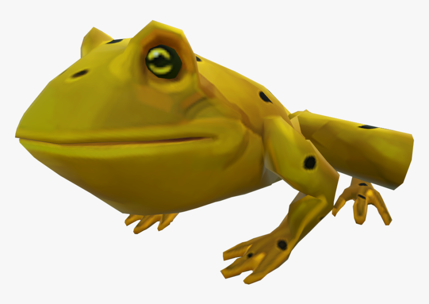 Golden Poison Frog, HD Png Download