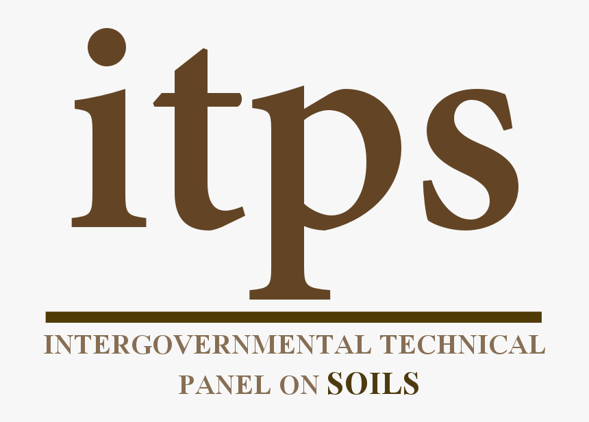 Calligraphy, HD Png Download