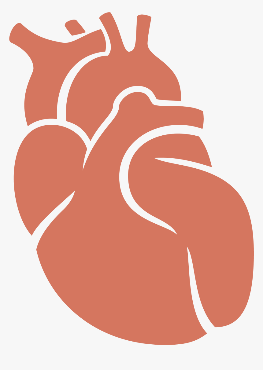 Donation Clipart Hand Heart - Organ Donation Clip Art, HD Png Download