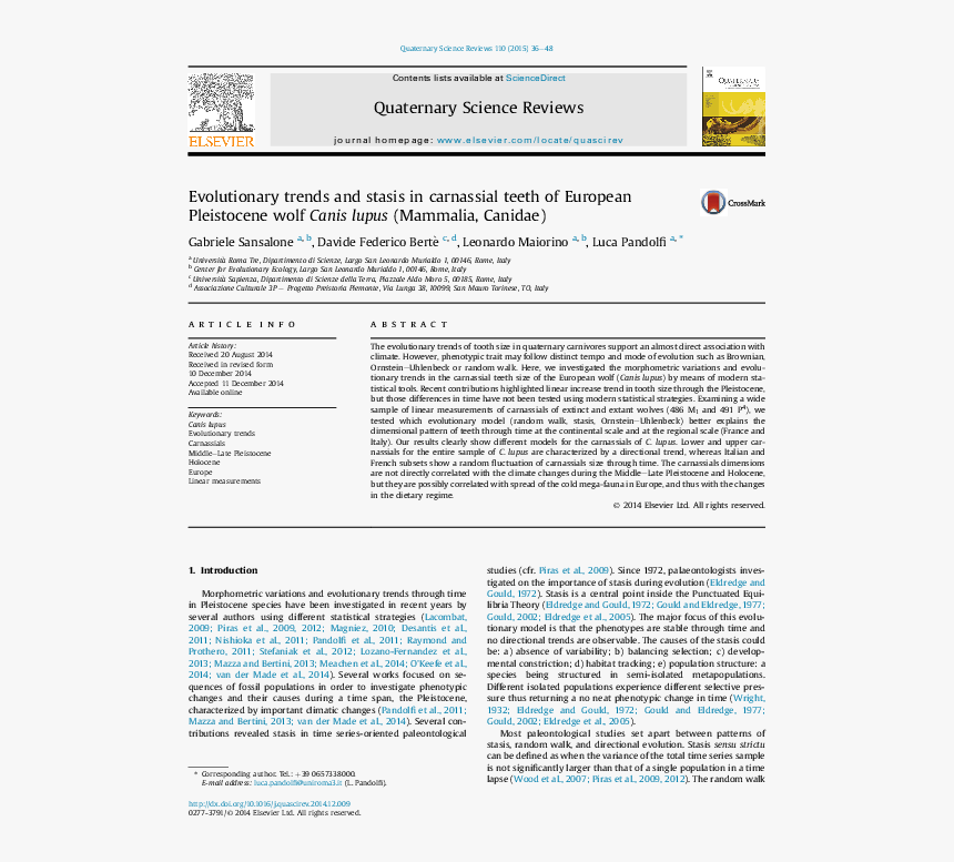 Thumbnail, HD Png Download