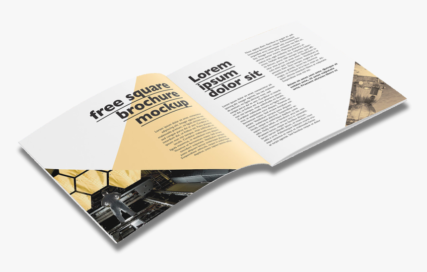 Graphic Design, HD Png Download
