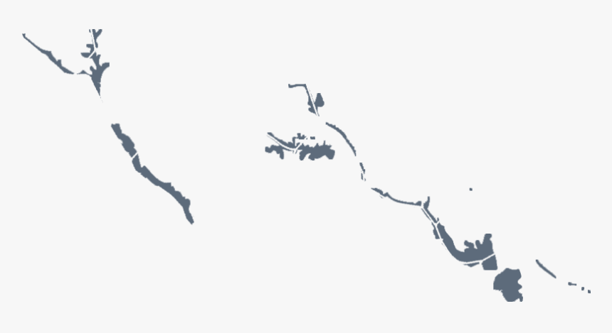 X - Bird - Illustration, HD Png Download