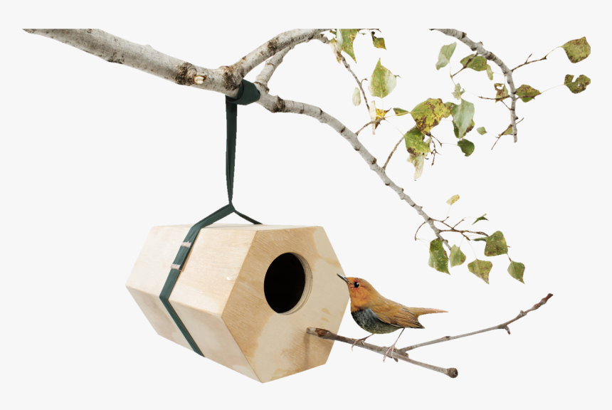 Neighbirds, Modular Wooden Birdhouses-0 - Design A Birdhouse, HD Png Download