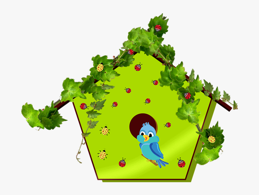 Bluebird, Bird, Birdhouse, Avian, House, Home, Insects - Birdhouse Clipart, HD Png Download