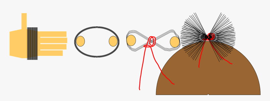 Circle, HD Png Download