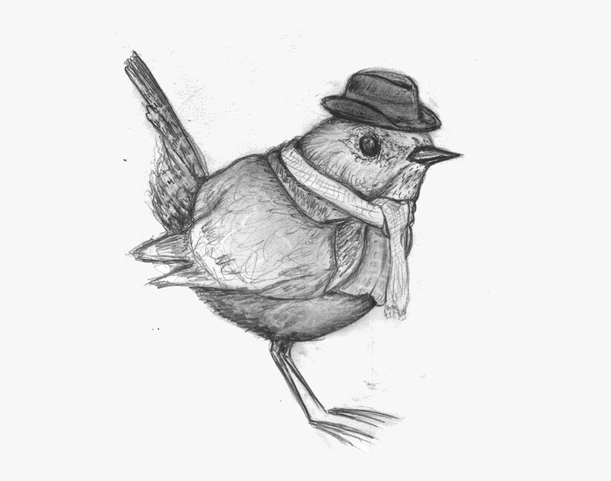 Sketch, HD Png Download