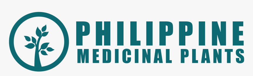 Tree , Png Download - Tree, Transparent Png