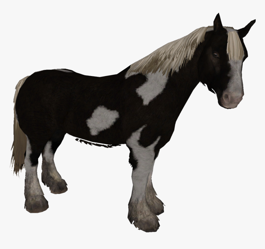 Skyrim Markarth Horse, HD Png Download