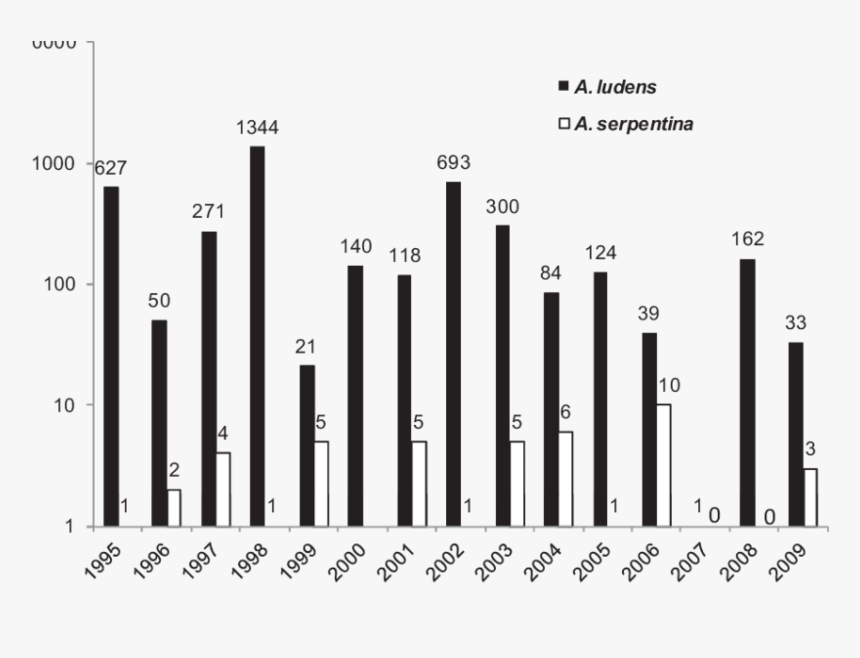 Musical Keyboard, HD Png Download
