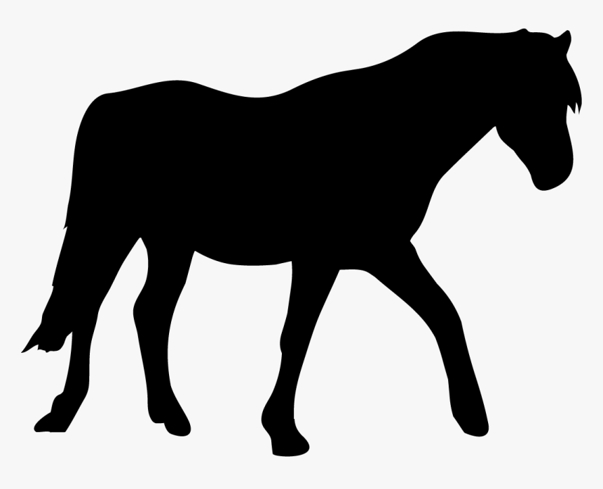 Mane, HD Png Download