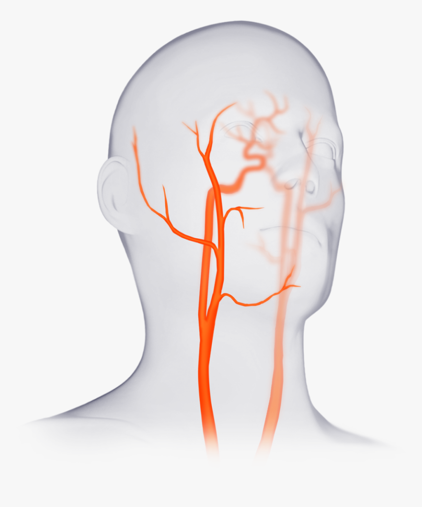 Illustration, HD Png Download