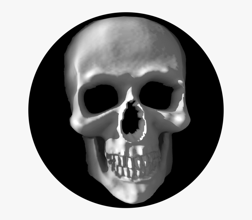 Skull, HD Png Download