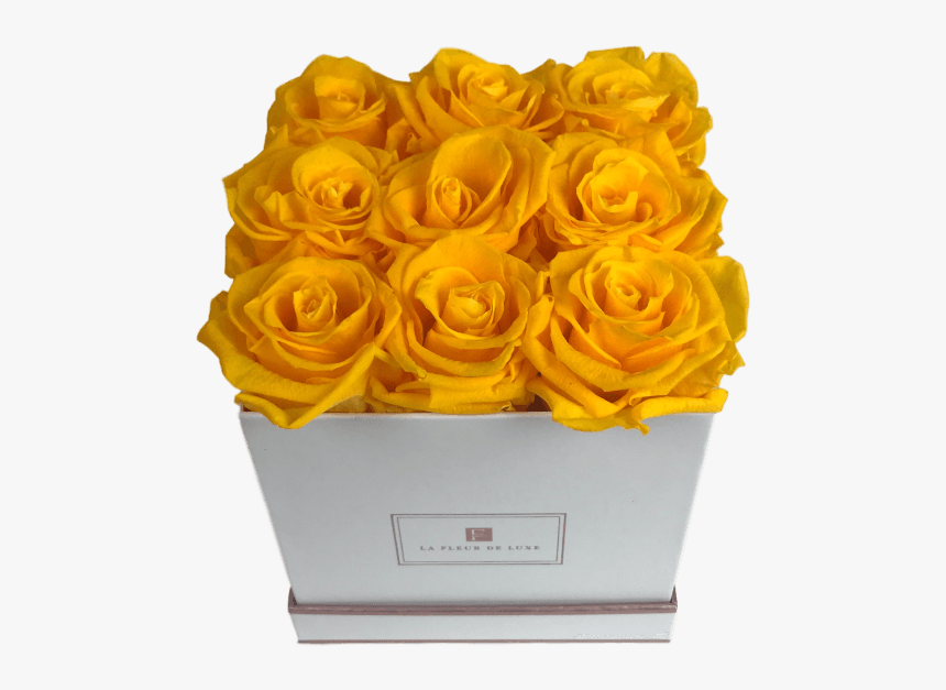 Garden Roses, HD Png Download
