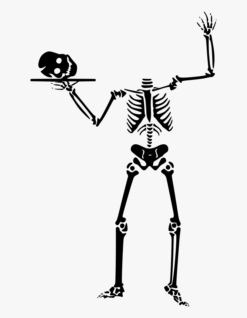 Skeleton Clip Art, HD Png Download